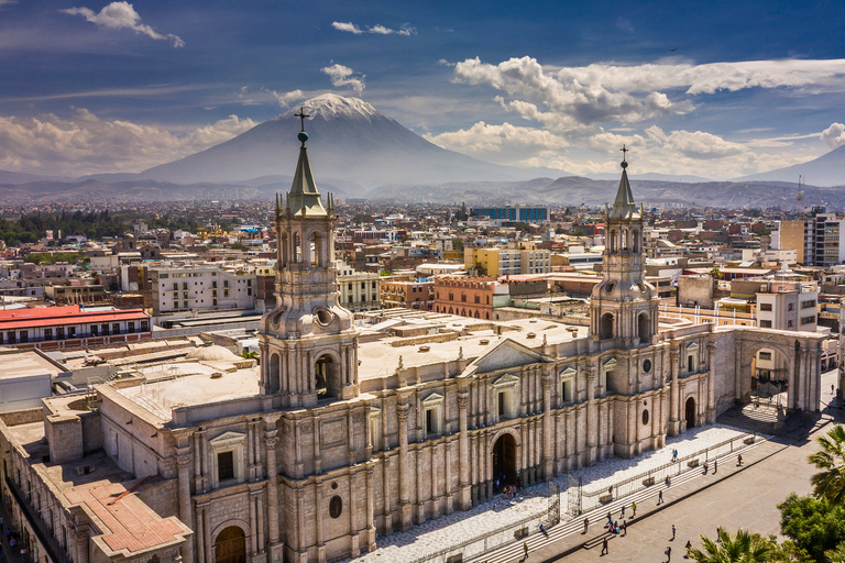 From Arequipa: Colca Canyon and Andean Wildlife Day Trip