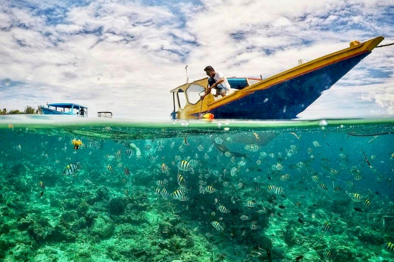 Lombok: Private Snorkeling,Gili Trawangan,Gili Meno,Gili Air Start From: Tetebatu/Lembar Port/Gili Mas Port