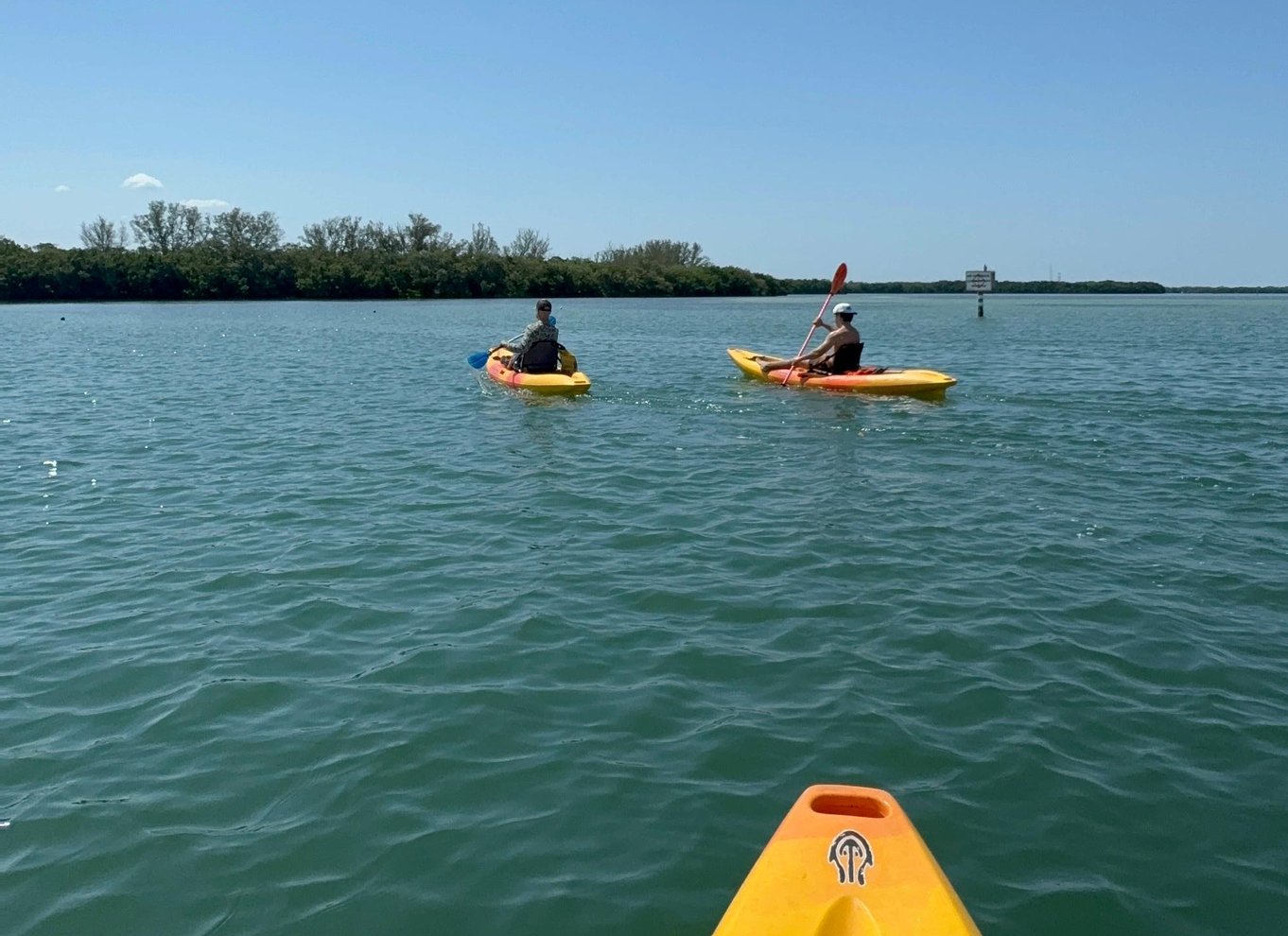 Tierra Verde: Shell Key Mangrove Privat guidet tur på 1,5 time