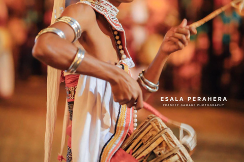 Kandy Esala Perahara Premium & VIP Viewing Tickets