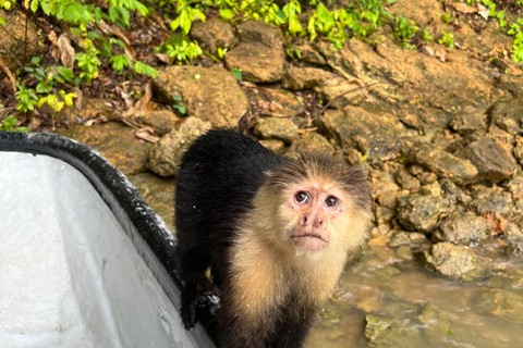 Panamá : Tour en bateau et faune sur le lac Gatun