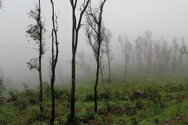 From Bangalore: 2-Day Chikkamagaluru: Temples & Safari