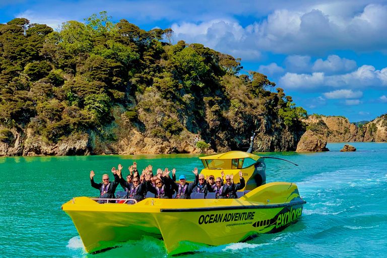 Paihia: barco rápido pelo Hole in the Rock com parada na ilha9h30 Hole in the Rock: aventura oceânica de 1,5 hora em barco rápido