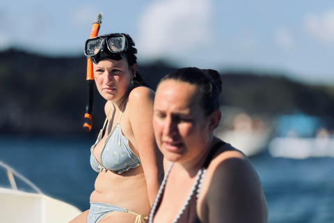 Nusa Penida: Manta Ray & Blue Coral Snorkeling Adventure