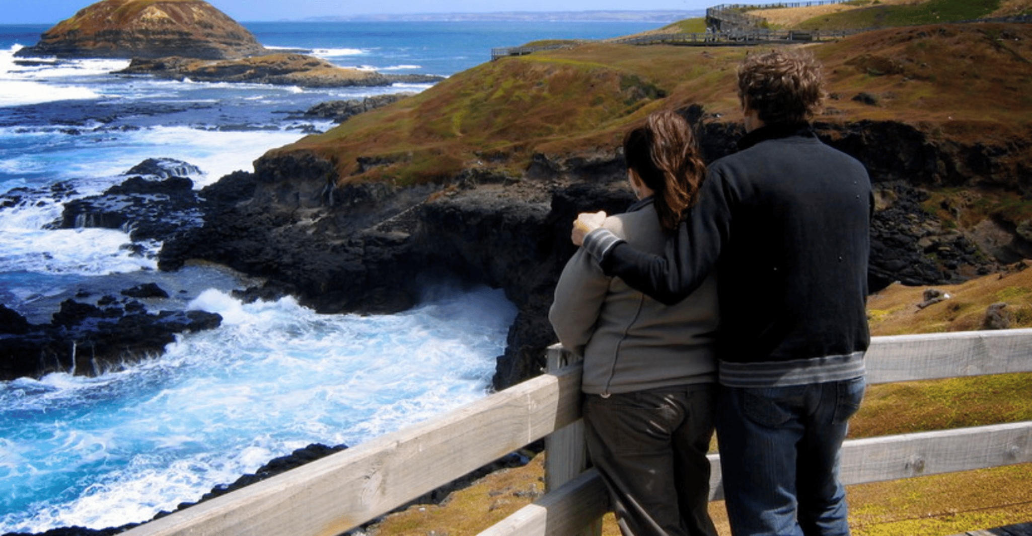 From Melbourne: Penguin Parade Afternoon Tour photo 8