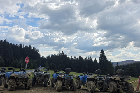 Poiana Brasov: Guided ATV Ride Through Mountain Forest