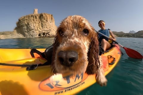 Kayak con el mejor amigo del hombre
