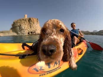 Villajoyosa: Kayaking with the man's best friend, your dog
