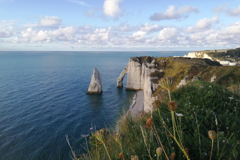 De Cherbourg: Tour particular pelos destaques regionais da Normandia