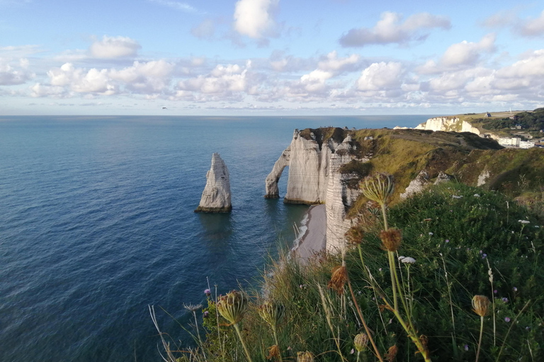 Au départ de Cherbourg : visite privée des hauts lieux de la Normandie