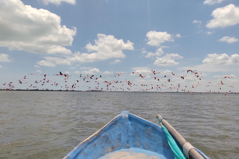 Santa Marta - Parc naturel national Los Flamingos