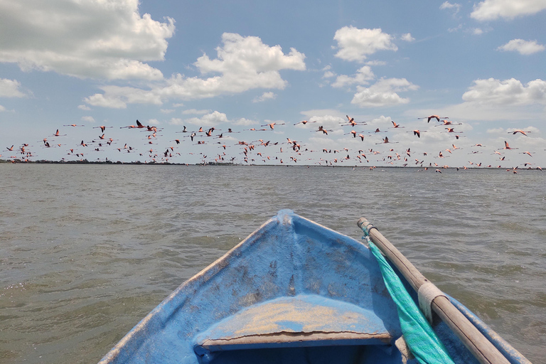 Santa Marta - Parc naturel national Los Flamingos