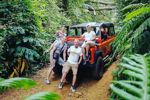 Funchal: jeeptour door bergen, watervallen en natuurlijke zwembaden