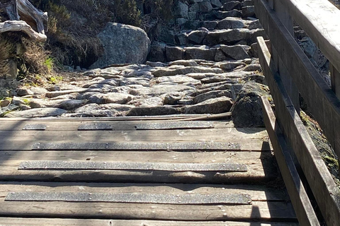 Preikestolen avec prise en charge à l&#039;hôtel ou au bateau avec guide