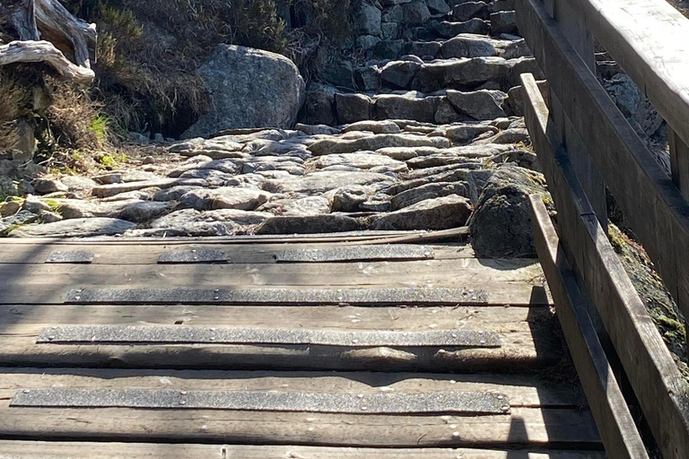 Preikestolen med hotell eller upphämtning med båt och guide