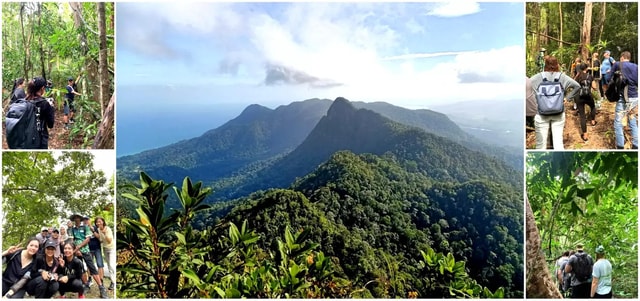 Langkawi Morning Rainforest Walking Tour