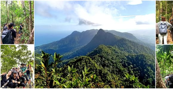 Langkawi Morning Rainforest Walking Tour
