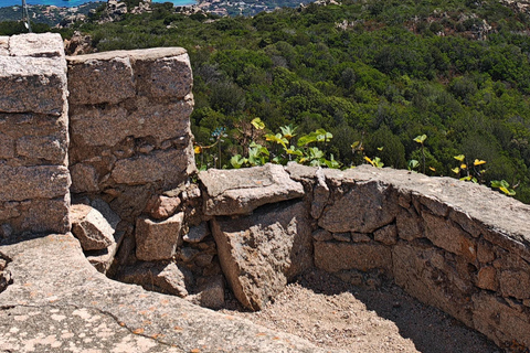Costa Smeralda: Quad tour with views, the sea and adrenaline. Basic Quad Tour (2 people per quad)