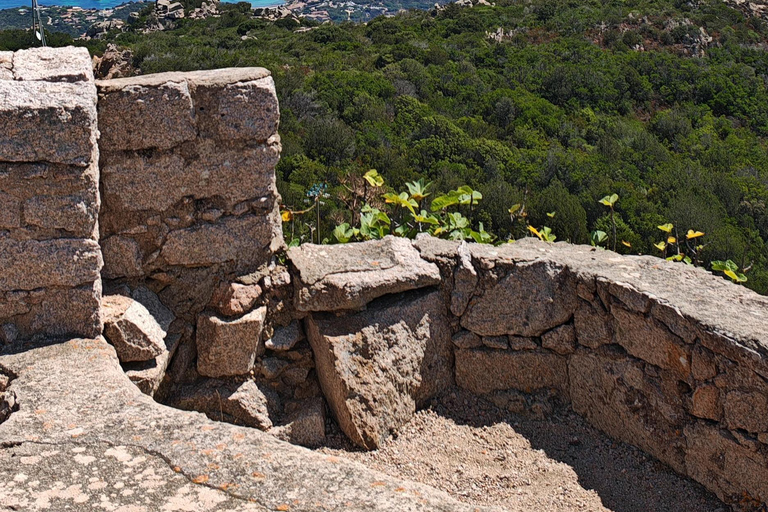 Costa Smeralda: Quad tour with views, the sea and adrenaline. Basic Quad Tour (2 people per quad)