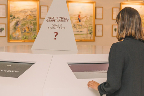 Porto: Taylor’s Port Cellar Tour & WOW The Wine Experience