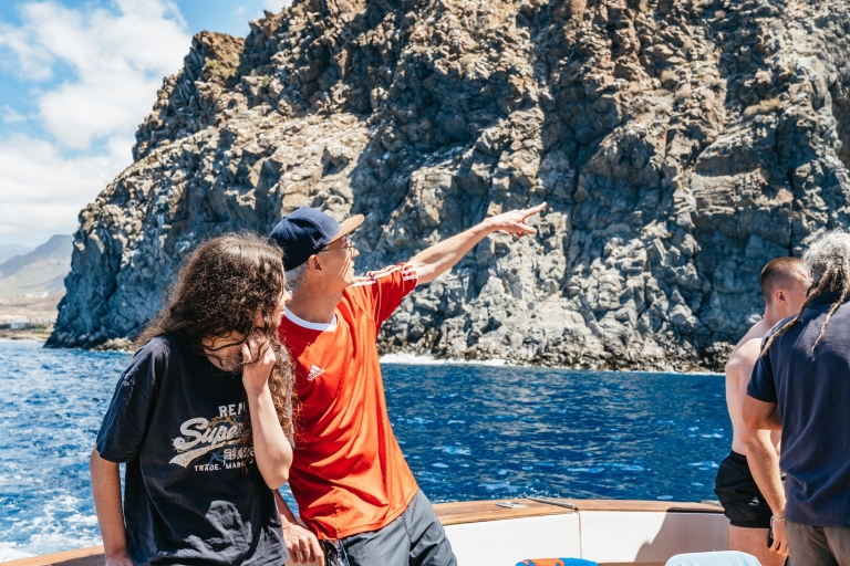 Tenerife: Whale & Dolphin Tour with Local Skipper Tour with Meeting Point