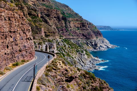 Full -day Cape Peninsula Wonders: Shared Group Scenic Tour