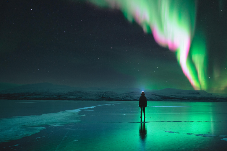 Abisko: Wycieczka fotograficzna z zorzą polarną z kolacją