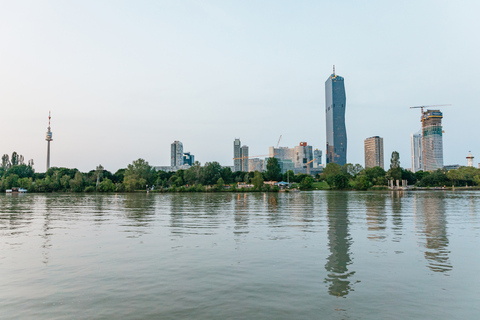 Vienna: 3-Course Evening Dinner Cruise