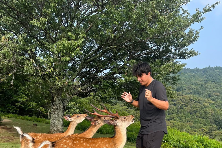 Kyoto: Private Customizable Day Tour with Guide and Vehicle Kyoto & Nara: Private Custom Highlights Tour with Pickup