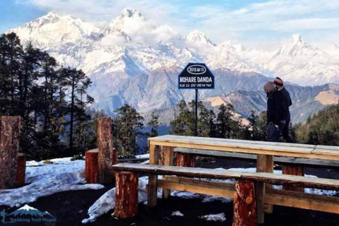 Pokhara: Mohare Danda Community Eco Sunrise Trek with Guide