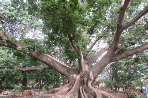 Bangalore: stadsrondleiding met botanische tuin, paleis en lunch