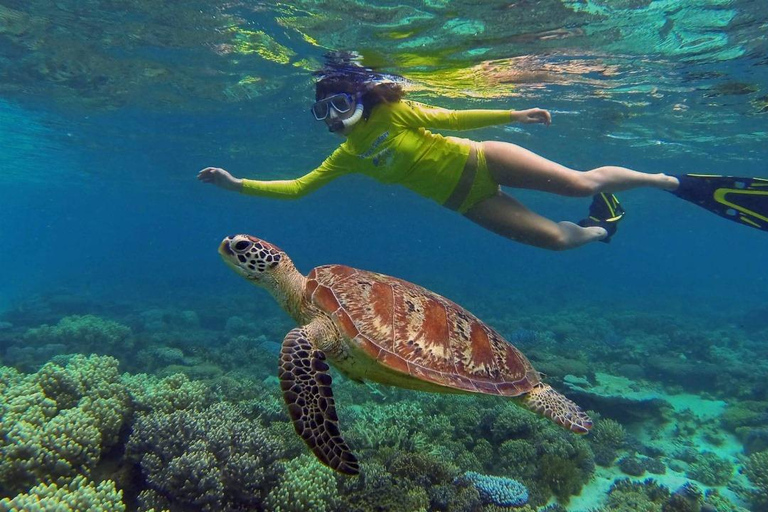 Marsa Alam: Sea Cow &amp; Turtles Snorkeling at Marsa MubarakMarsa Alam: Sea Cow and Turtles Snorkeling at Marsa Mubarak