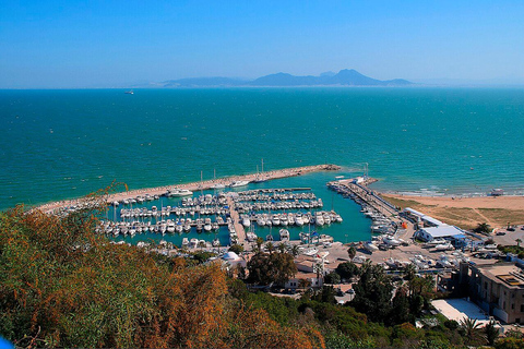 Tunis :VIP Tour – Medina,Carthage&Sidi BouSaid,All-Inclusive