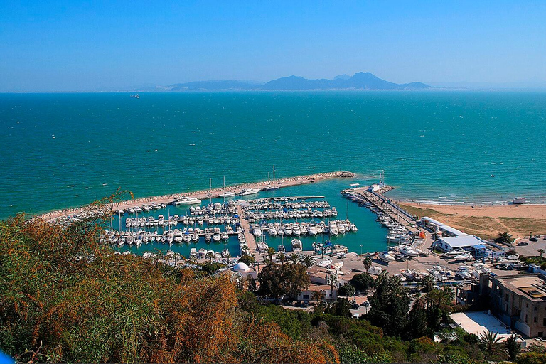 Tunis :VIP Tour – Medina,Carthage&Sidi BouSaid,All-Inclusive