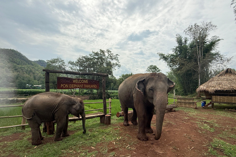 Chiang Mai: Elephant Sanctuary & Thai Cooking Workshop Meeting Point In Town