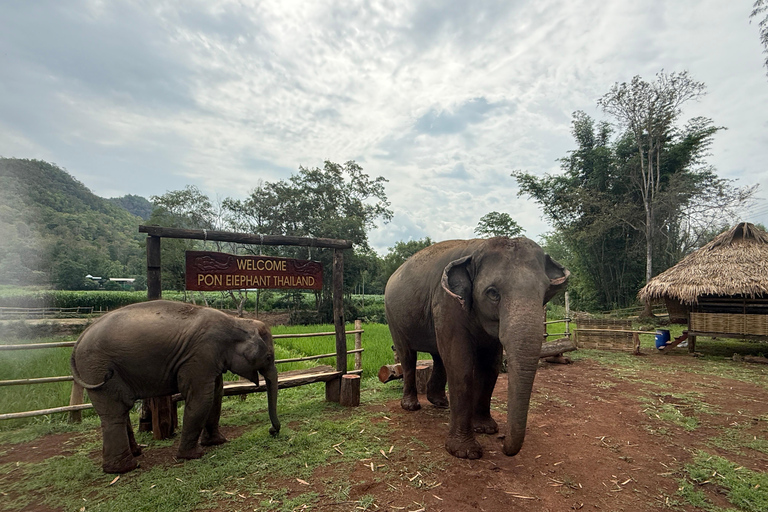 Chiang Mai: Elephant Sanctuary & Thai Cooking Workshop Meeting Point In Town