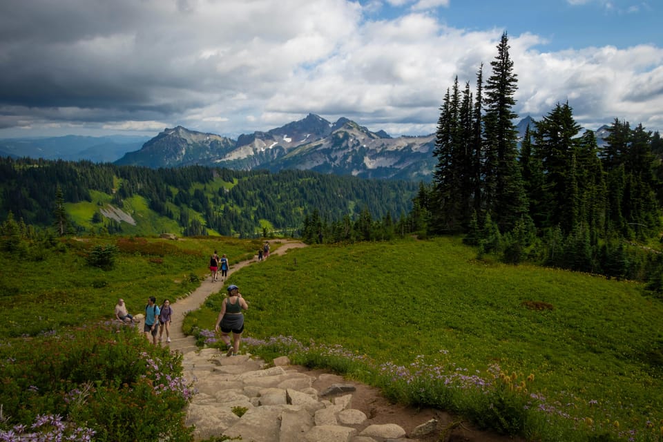 Mount Rainier NP: tour privato ed escursione di un giorno intero da ...