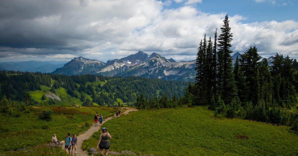 Park Narodowy Mount Rainier Ca Odniowa Prywatna Wycieczka I W Dr Wka Z