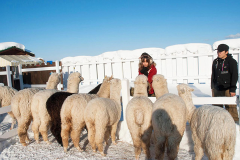 Excursão de 1 dia a Hokkaido: Jardim Zoológico de Asahiyama, Biei e Terraço Ningle