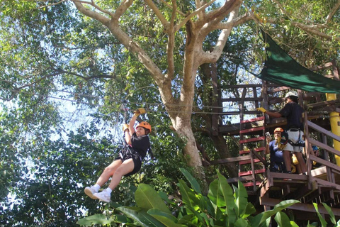 Río Grande : Zipline dans la forêt tropicale