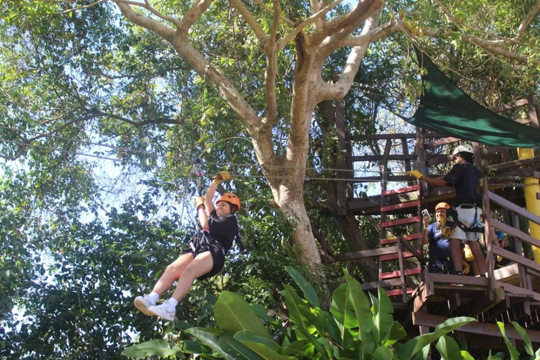 Río Grande : Zipline dans la forêt tropicale