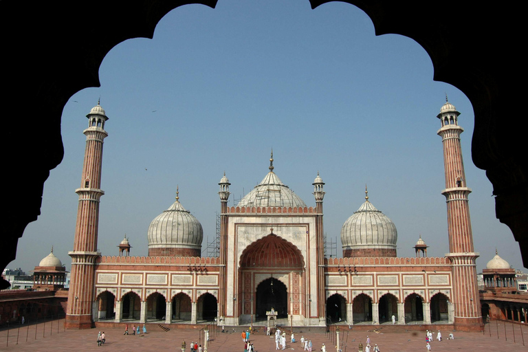 Delhi: tour espiritual com guia de turismo e transporte