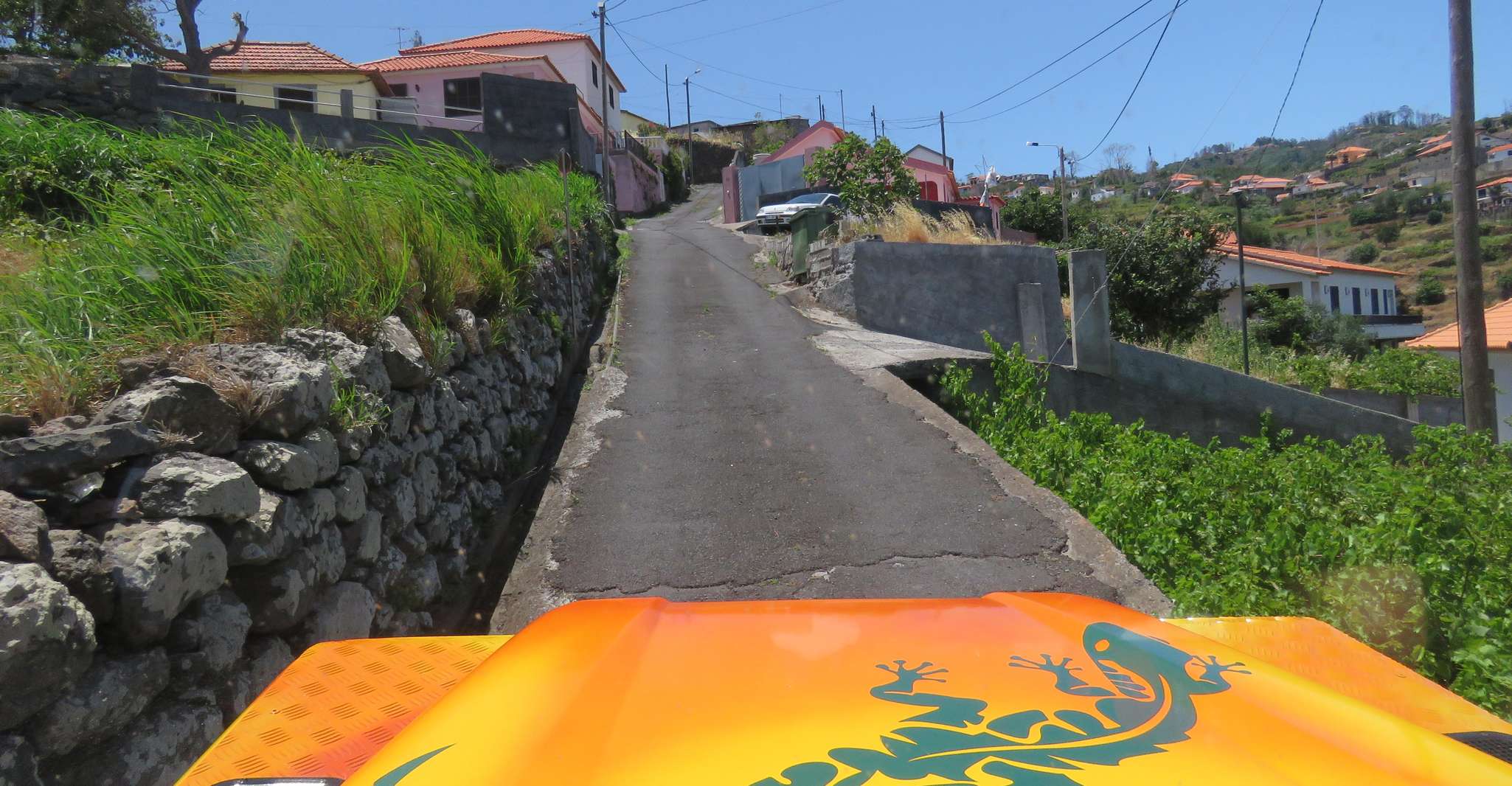 Esplorando squisiti vigneti e Cabo Girão skywalk - Hizvo