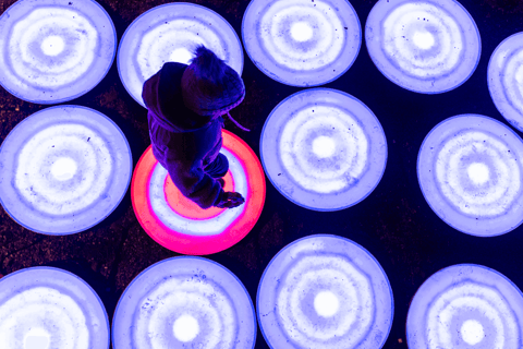 Bucarest: biglietto d'ingresso al Giardino delle Luci - Small WorldBucarest: biglietto d'ingresso al Giardino delle Luci - Fine settimana