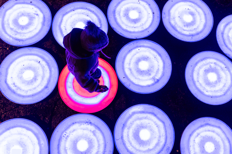 Bucarest: biglietto d'ingresso al Giardino delle Luci - Small WorldBucarest: biglietto d'ingresso al Giardino delle Luci - Fine settimana