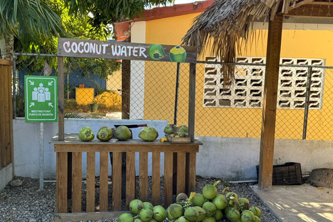 Puerto Plata: El Gallo Ecolodge Day Pass with Lunch