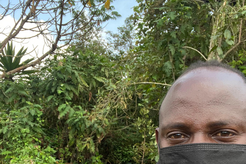 8-Day Rwanda, Uganda &amp; Congo (DRC) Gorilla Trekking Trip