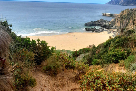 Valparaíso: Laguna Verde Beach and Forest Day Trip