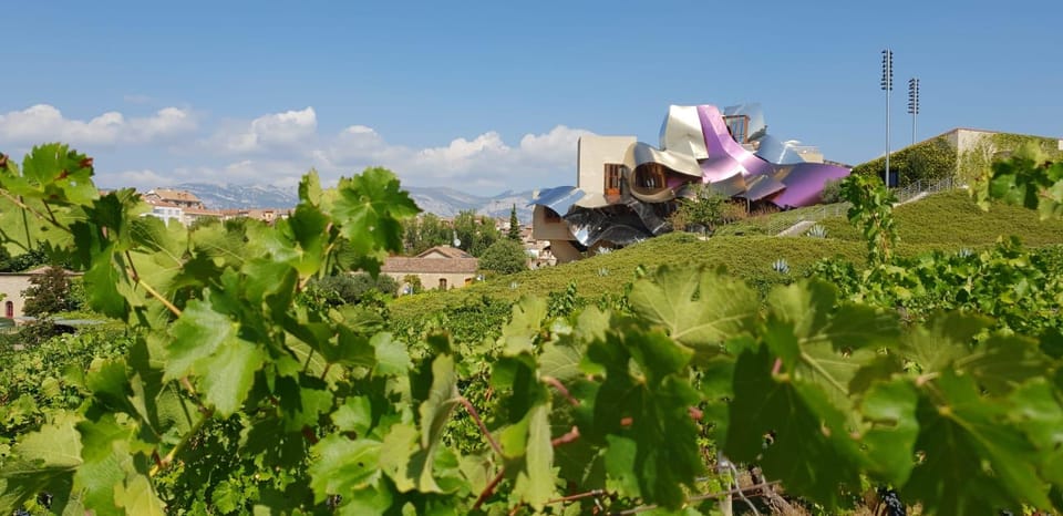 Vine leaves in the foreground and a hillside building of curving silver and purple metal against a blue sky
