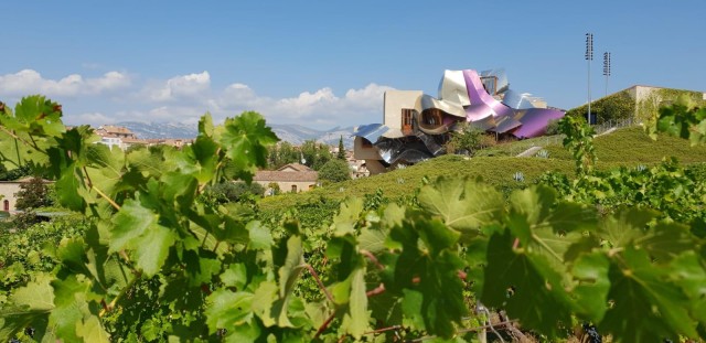 Visit From San Sebastian/Bilbao/Vitoria La Rioja Wineries Tour in Hendaye